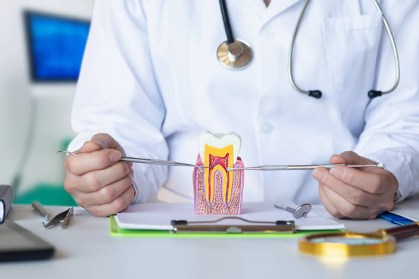 Best Emergency Dentist for Knocked-Out Tooth in Long Branch, VA